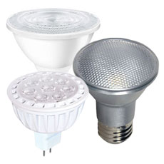 LED Flood Light Bulbs