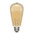 ST19 Vintage LED Filament Light Bulb VST19-2000EA