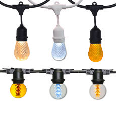 100' LED Cord & Bulb Kits