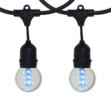 48' Cool White LED Designer Globe Light Kit - Black Suspended