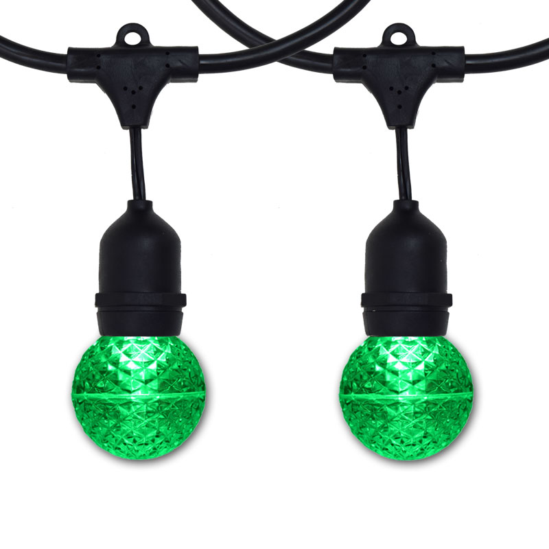 48' Black Suspended Green LED G50 Globe Light Strand