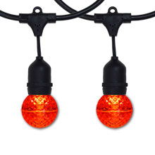 48' Suspended Red LED Globe Light Strand - Black Wire