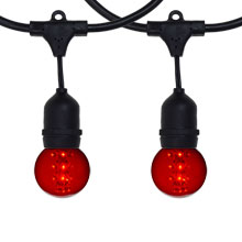 100' Red Designer LED Globe String Light Kit - Black Suspended Wire