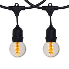 100' G50 Globe Light Strand Kit - Sun Warm White LED Designer