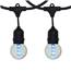 100' Suspended G50 Globe Light Strand Kit - Cool White LED Designer