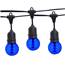 21' Blue Designer LED Globe Light Strand Kit - Black Wire