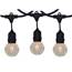 G50 Globe Commercial String Lights