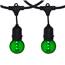 100' Green Designer LED Globe String Light Kit - Black Suspended Wire