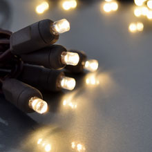 FLEXCHANGE™ LED String Light Strand - 50 Lights - Warm White/Brown Cord 724240