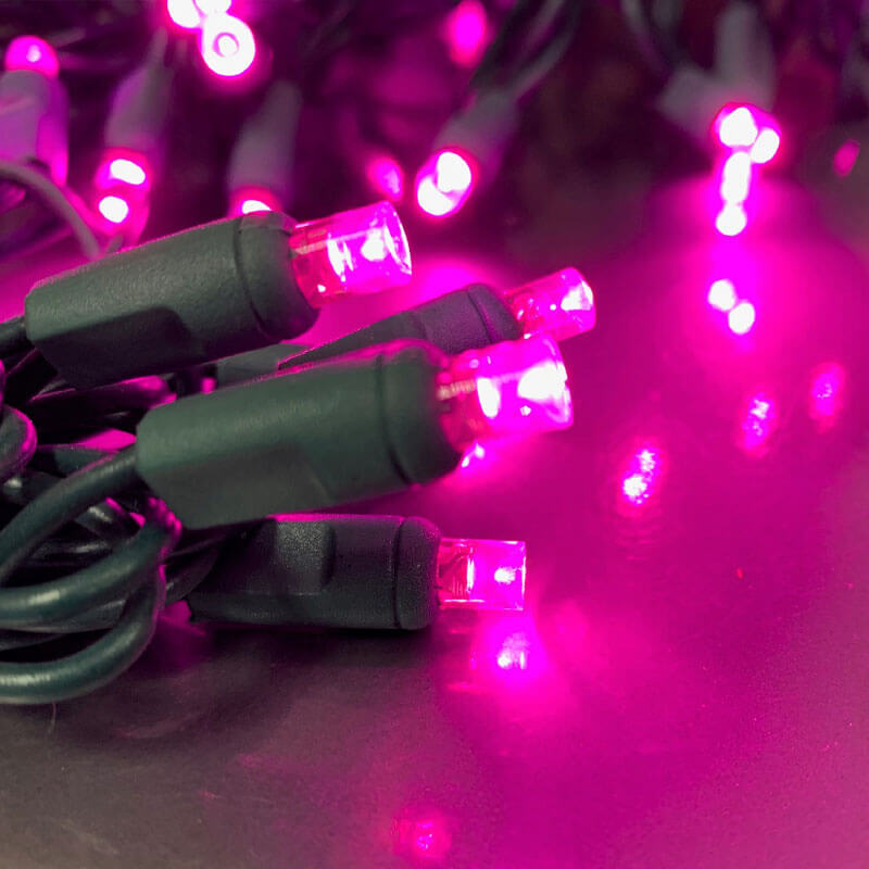 Purple LED String Light Strand - 5mm - 50 Lights