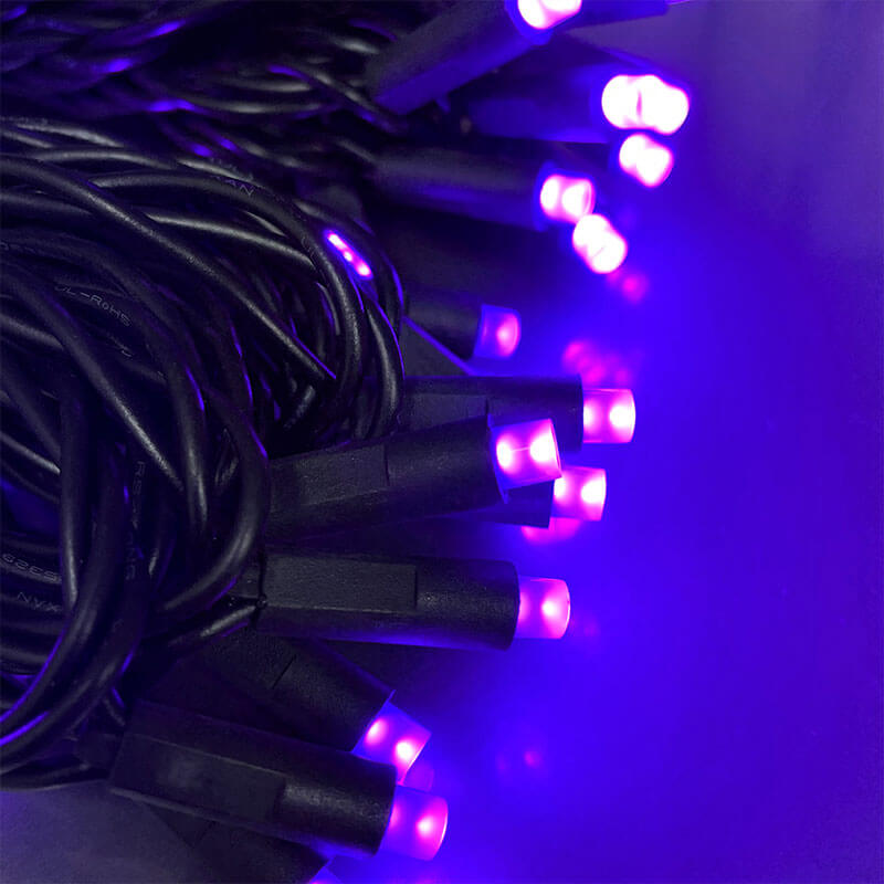 Purple Frost LED Wide Angle String Lights - Black Wire - 50 Lights HW1701
