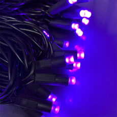 Purple Frost LED Wide Angle String Lights - Black Wire - 50 Lights HW1701