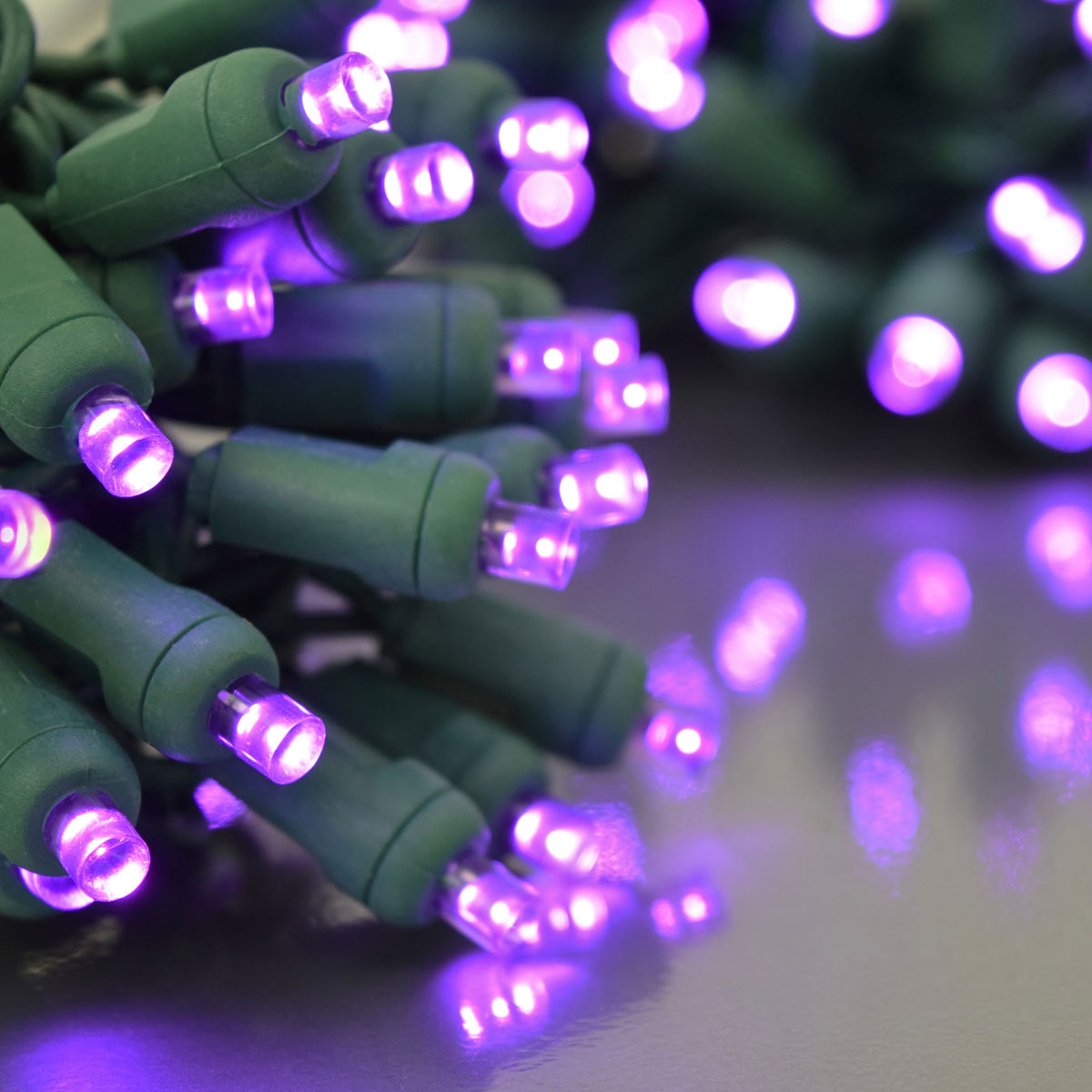 Purple LED String Light Strand - 5mm - 50 Lights