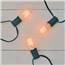 C9 Vintage Edison Style Party String Lights - 7 Lights - 10 Feet