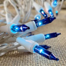 blue outdoor mini string lights
