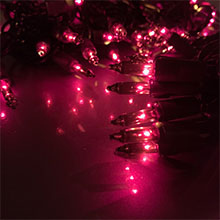 100 Count Fuchsia Miniature Light Set - Black Wire