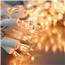Clear Christmas Lights