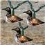 Loon Party String Lights - 10 Light Set