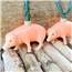 Piggies Party String Lights