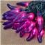 Purple Chili Pepper Lights - 10 Lights CN-35PUR