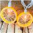 Lemon Party String Lights - 8.5 ft. DE-10835