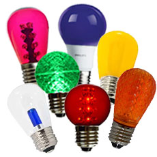 Colored LED Light Bulbs - Medium Base