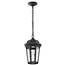 Satco East River Collection 1-Light Smart LED Outdoor Hanging Fixture - Starfish RGBTW, CCT Selectable, Matte Black, Clear Water Glass 62-5944