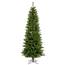 Salem Pencil Pine Artificial Christmas Tree, 200-Colored LED Dura-lit Lights - 4.5' VM-A103047LED