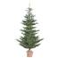 Alberta Spruce Artificial Christmas Tree - 5' x 40